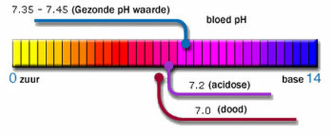 pH-waarde van het bloed